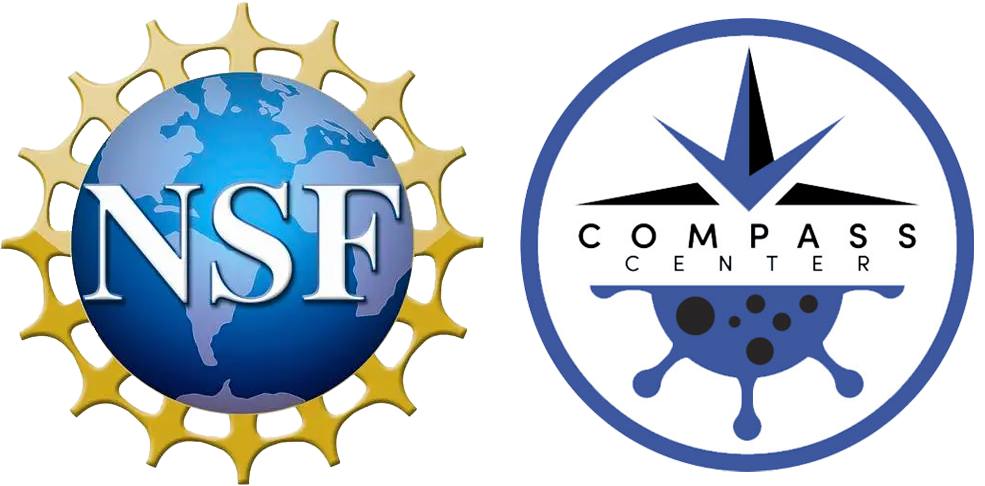 Nsf compass pipp logo