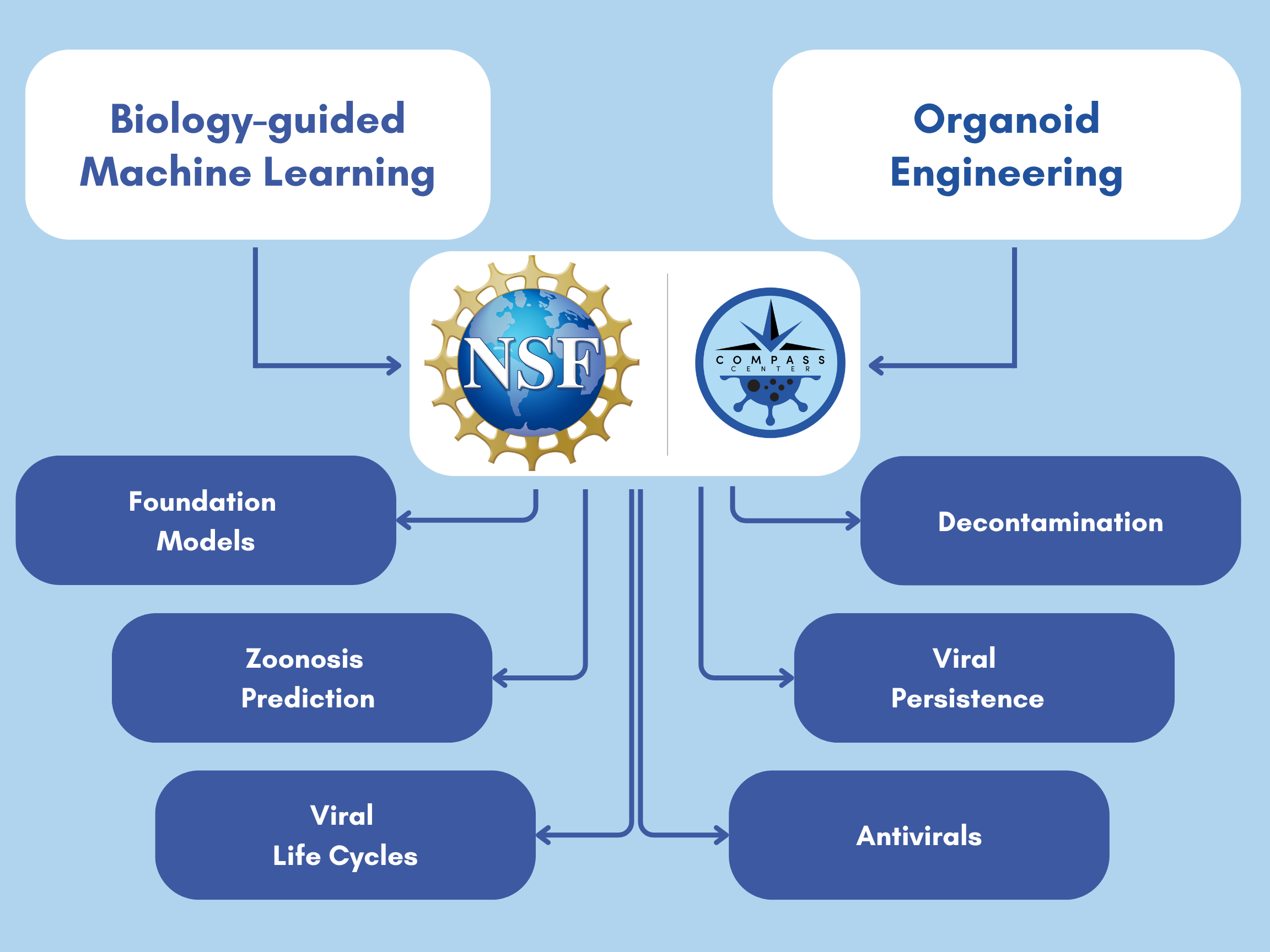 Biology guided machine learning (12)